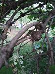    
: IMG_20200517_200617.jpg
: 477
:	102.9 
ID:	13348169