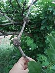     
: IMG_20200517_200804 (1).jpg
: 483
:	99.1 
ID:	13348171