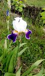     
: IMG_20190523_144746.jpg
: 8
:	158.4 
ID:	13348180