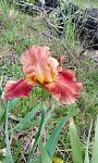     
: IMG_20190523_144756.jpg
: 8
:	172.6 
ID:	13348182