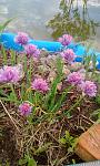     
: IMG_20200512_192117.jpg
: 9
:	146.0 
ID:	13348187
