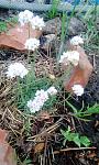     
: IMG_20200512_192130.jpg
: 8
:	142.3 
ID:	13348188