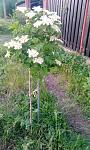     
: IMG_20200512_192302.jpg
: 7
:	156.5 
ID:	13348189