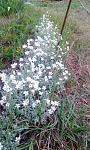     
: IMG_20200512_192057.jpg
: 7
:	175.5 
ID:	13348190