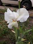     
: IMG-3646ee52a87fbd85aed46ff4a84c6395-V.jpg
: 8
:	123.9 
ID:	13348191