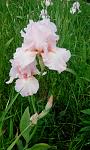     
: IMG_20190523_144905.jpg
: 10
:	104.7 
ID:	13348192