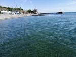     
: IMG_20200523_083820.jpg
: 24
:	177.3 
ID:	13348210