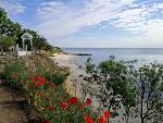     
: IMG_20200524_084447.jpg
: 24
:	224.8 
ID:	13348663