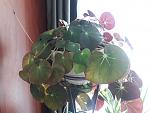     
: 20200524_122032.jpg
: 28
:	103.8 
ID:	13348771