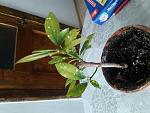     
: 20200523_154922.jpg
: 31
:	144.4 
ID:	13348778