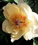     
: 20200524_110526.jpg
: 20
:	72.4 
ID:	13348783