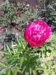     
: 20200524_124610.jpg
: 22
:	130.5 
ID:	13348784