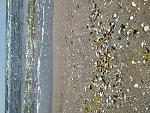     
: IMG_20200524_111542.jpg
: 25
:	304.5 
ID:	13348818