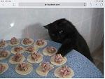     
: image.jpg
: 43
:	75.2 
ID:	13348936