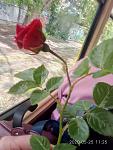     
: P00525-112559.jpg
: 48
:	121.4 
ID:	13349183