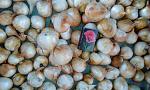     
: IMG_20200526_192014[1].jpg
: 41
:	133.1 
ID:	13349972