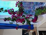     
: 20200526_203536.jpg
: 34
:	150.5 
ID:	13350040