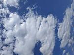     
: IMG_20200522_152427.jpg
: 9
:	74.9 
ID:	13350299