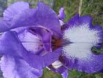     
: IMG_20200520_202734.jpg
: 8
:	107.0 
ID:	13350300