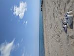     
: IMG_20200526_162401.jpg
: 10
:	124.4 
ID:	13350302