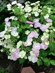     
: IMG_20200523_165258.jpg
: 22
:	130.2 
ID:	13350507