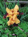     
: IMG_20200523_165328.jpg
: 22
:	94.1 
ID:	13350508