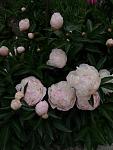    
: IMG_20200523_164207.jpg
: 22
:	83.3 
ID:	13350510