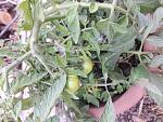     
: 20200521_201944.jpg
: 13
:	155.9 
ID:	13350697