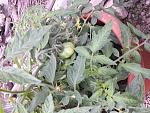     
: 20200521_201930.jpg
: 15
:	167.4 
ID:	13350698