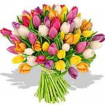     
: IMG-3d715a13685ce82207a3676df1e7ee2e-V.jpg
: 25
:	248.5 
ID:	13351043