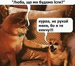     
: 85EE5DB0-47D2-42DD-9C55-DC934E457DD8.jpeg
: 398
:	120.7 
ID:	13351456
