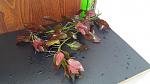     
: 20200512_102633.jpg
: 15
:	111.9 
ID:	13352238