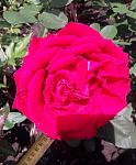     
: 20200531_134102.jpg
: 23
:	92.8 
ID:	13352244