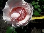     
: 20200531_132937.jpg
: 25
:	87.5 
ID:	13352249