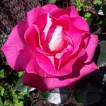     
: 20200531_153739.jpg
: 23
:	101.8 
ID:	13352253