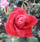     
: 20200531_153422.jpg
: 23
:	92.8 
ID:	13352254