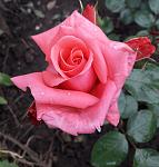     
: 20200531_210428.jpg
: 23
:	84.5 
ID:	13352366