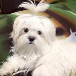     
: B343ECA6-7D79-46F3-9CF4-BB3B29DE0220.jpg
: 24
:	58.1 
ID:	13354221