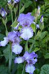     
: DSC_0007.jpg
: 30
:	84.3 
ID:	13354864