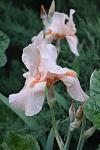     
: DSC_0008.jpg
: 26
:	60.1 
ID:	13354866