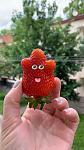     
: 67BD98C3-CC14-47B3-997B-0B54014B3F55.jpg
: 19
:	45.0 
ID:	13355622