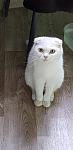     
: _viber_2020-06-07_13-47-32.jpg
: 21
:	65.0 
ID:	13358259