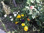     
: 20200606_191848.jpg
: 17
:	276.4 
ID:	13358382