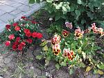     
: 20200606_191837.jpg
: 20
:	254.7 
ID:	13358383