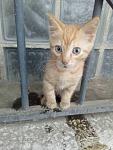     
: _viber_2020-06-13_12-49-50.jpg
: 13
:	92.2 
ID:	13359973