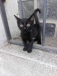     
: _viber_2020-06-13_12-49-54.jpg
: 13
:	96.9 
ID:	13359974