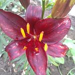     
: IMG_20200614_123304.jpg
: 18
:	115.8 
ID:	13360824
