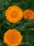     
: P00613-160404.jpg
: 16
:	72.3 
ID:	13361440