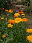     
: P00613-161559.jpg
: 18
:	125.5 
ID:	13361441