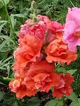     
: P00613-154539.jpg
: 17
:	112.5 
ID:	13361442